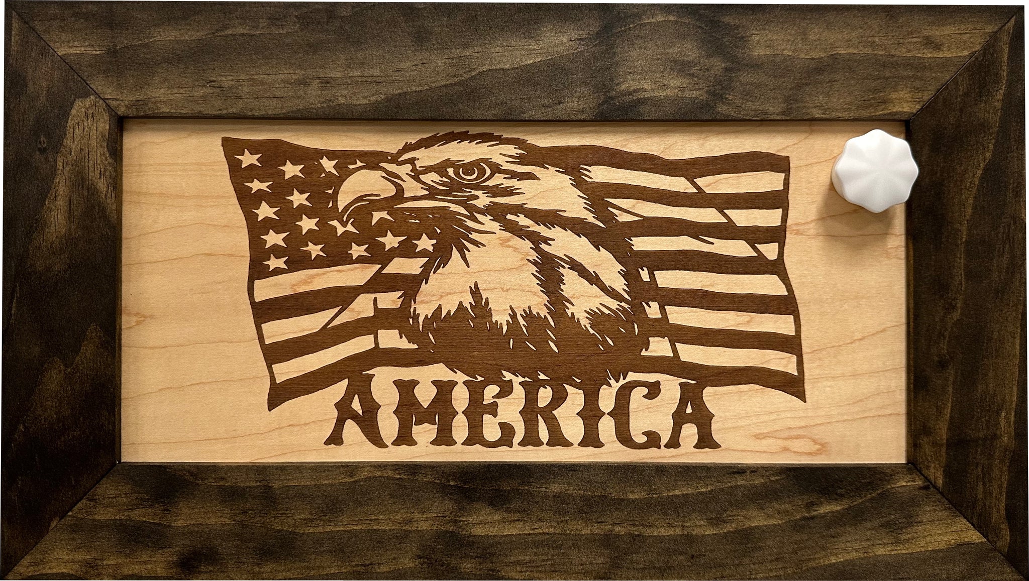 American Flag with Bald Eagle Wall-Mounted Gun Cabinet with key